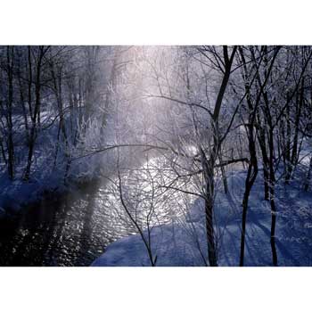 雪原photo