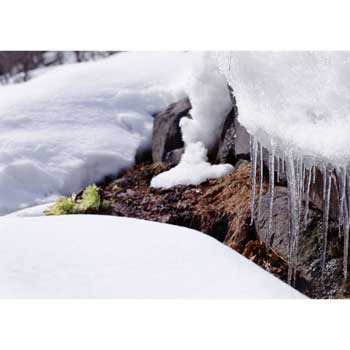 雪原photo