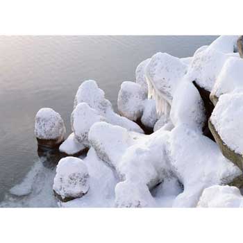 雪原photo
